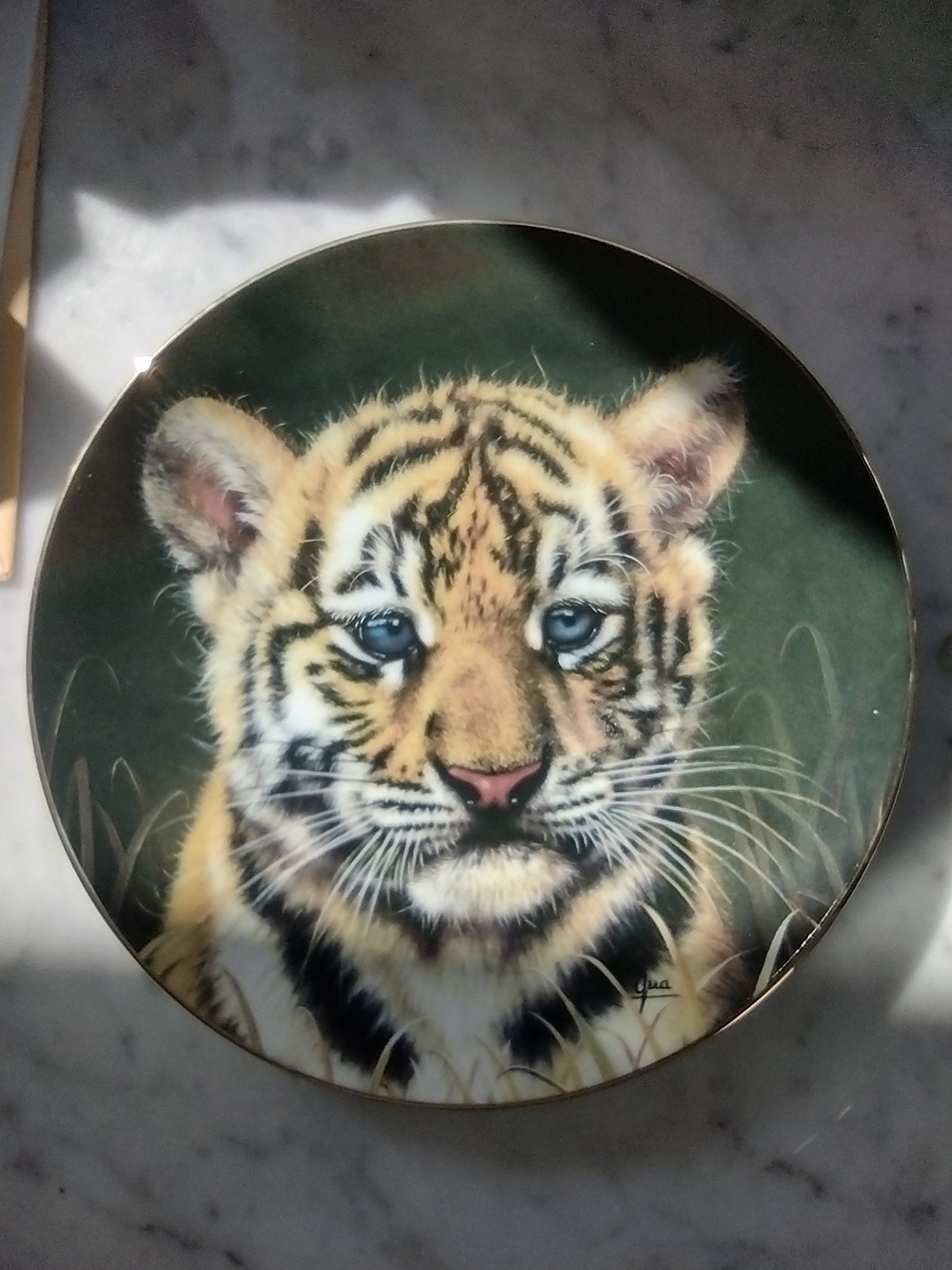 Decorative Tiger Cub Collector Plate - Blue Eyes 6" Diameter